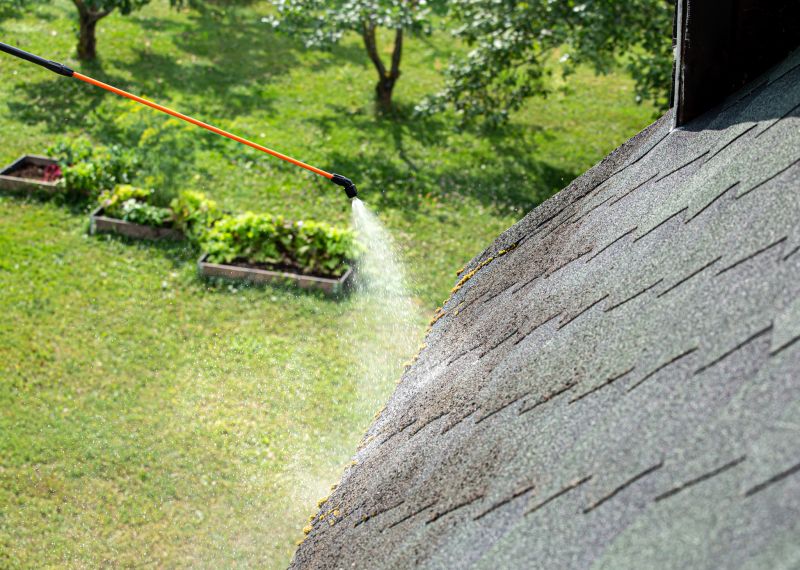 Roof Maintenance Solutions
